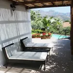 Avocado Beyond