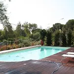 Avocado Beyond Giardini-Naxos