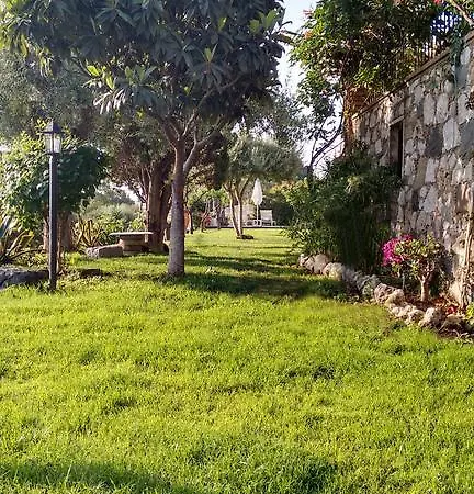 Avocado Beyond فندق مبيت وإفطار