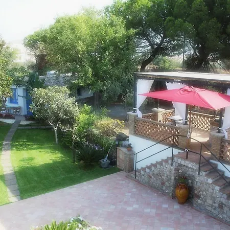 Avocado Beyond Couette-café Giardini-Naxos