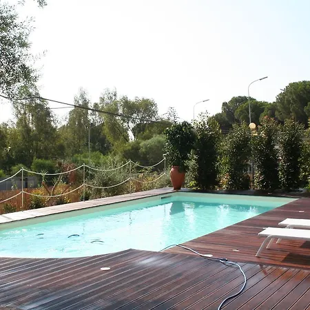 Avocado Beyond Giardini-Naxos