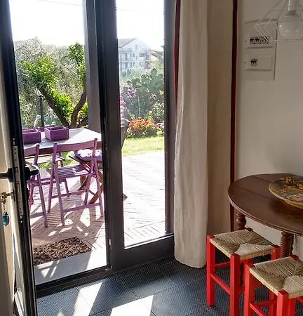 Avocado Beyond Oda ve Kahvaltı