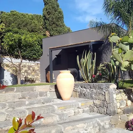 Avocado Beyond Giardini Naxos