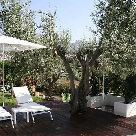 Avocado Beyond 2* Giardini Naxos
