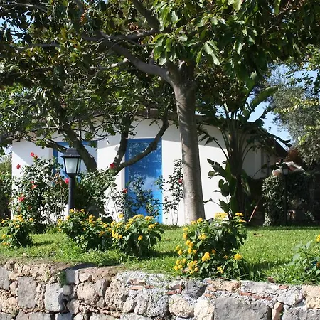 Avocado Beyond Alojamento de Acomodação e Pequeno-almoço Giardini Naxos