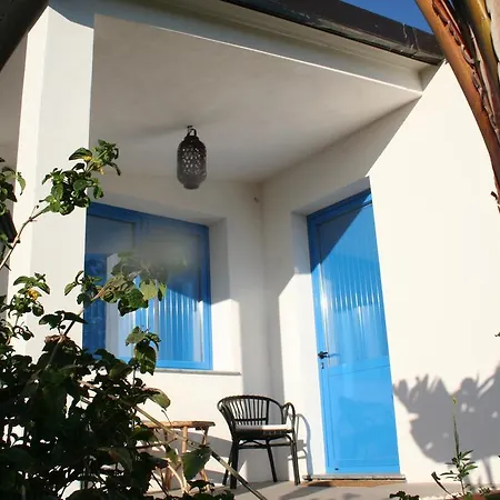 B&B Avocado Beyond 4*