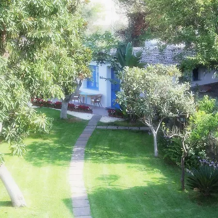 Avocado Beyond Giardini Naxos